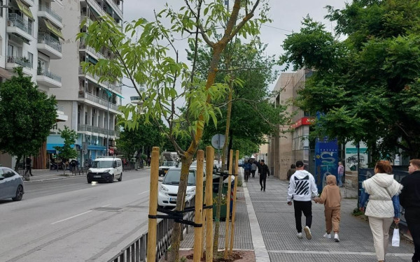 Θεσσαλονίκη: Εκατοντάδες νέα δέντρα δίνουν ανάσα στην Τσιμισκή 