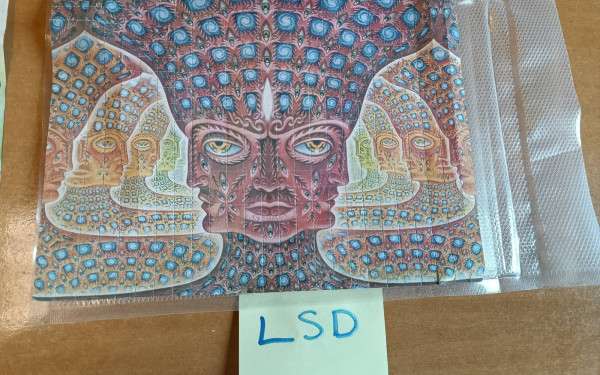 Ναρκωτικά και παράνομους μετανάστες έφερνε στην Ελλάδα σπείρα αλλοδαπών (φωτ.)