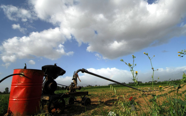 Σε κατάσταση συναγερμού για την ξηρασία το μεγαλύτερο μέρος της Χαλκιδικής - Δείτε χάρτη
