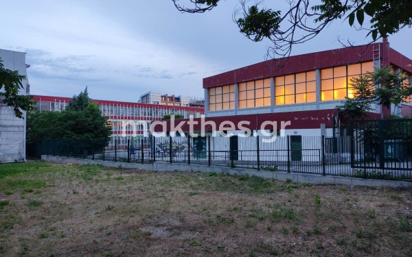 Θεσσαλονίκη: Σε κρίσιμη κατάσταση ερπετολόγος που πήγε να πιάσει οχιά σε σχολείο - Τι λέει ο διευθυντής του σχολείου (φωτ.)