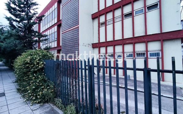 Θεσσαλονίκη: Βελτίωση παρουσιάζει η κατάσταση της υγείας της 39χρονης εθελόντριας που δέχθηκε δάγκωμα οχιάς