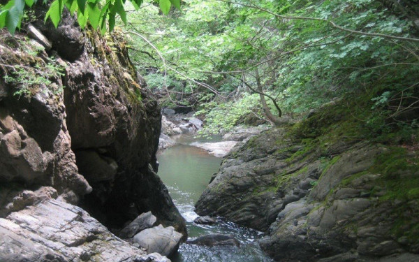 Λαγκαδάς: Το φαράγγι της Σκάλας αποκαλύπτεται - Οργανωμένος περίπατος την Κυριακή 11 Ιουνίου (βίντεο)