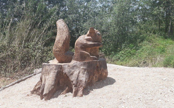 Ηγουμενίτσα: Μετατρέπει τα νεκρά δέντρα σε έργα τέχνης (φωτ.)