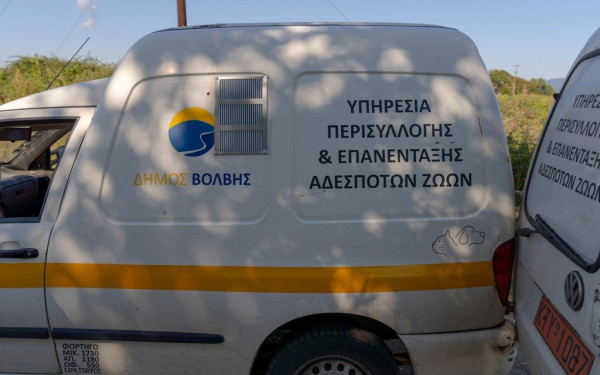 Θεσσαλονίκη: ﻿Εμβολιασμοί - στειρώσεις αδέσποτων ζώων στον δήμο Βόλβης