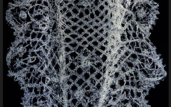 Θεσσαλονίκη: Έκθεση "Patterns" στον χώρο τέχνης AcroArt Projects 