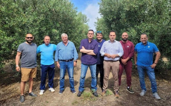 Χαλκιδική: Η φετινή, η χειρότερη χρονιά όλων των εποχών για τους ελαιοπαραγωγούς