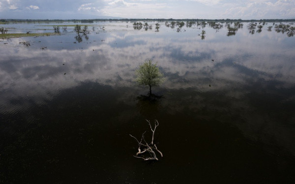 Εθνικό Πάρκο Κερκίνης: Αυξήθηκε ο πληθυσμός των τσακαλιών (φωτ.)