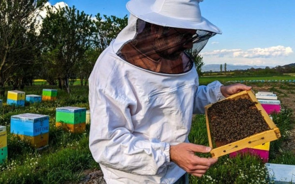 Την Τρίτη το πρώτο μπλόκο στη Χαλκιδική: Στα φανάρια Νικήτης οι μελισσοκόμοι