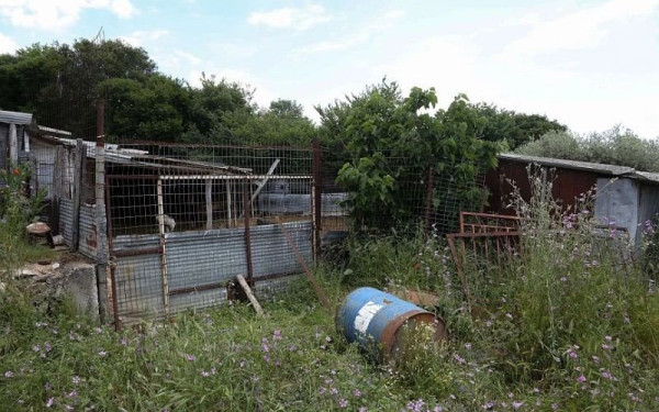 Χωρίς τέλος το θρίλερ με τον θάνατο της 68χρονης κτηνοτρόφου από την Καβάλα: Όλα ανοιχτά για τον θάνατό της (βίντεο)