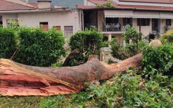 Κακοκαιρία στο Βελβεντό: Αποκαταστάθηκε η ρευματοδότηση - Σε εγρήγορση η Πυροσβεστική (φωτ.)