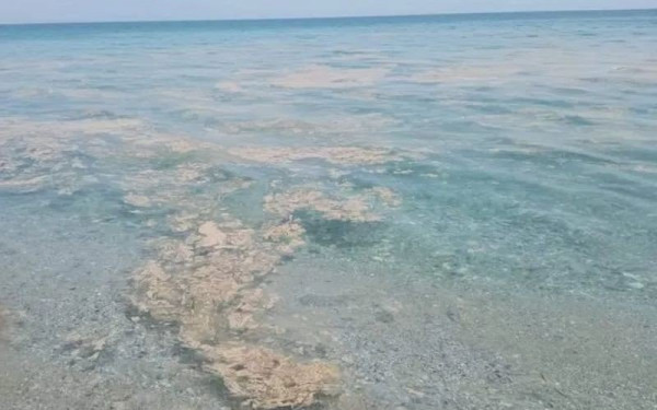 Κατερίνη: Ποινική δίωξη στον πρώην πρόεδρο της ΔΕΥΑΚ για ρύπανση της θάλασσας από το βιολογικό (βίντεο)