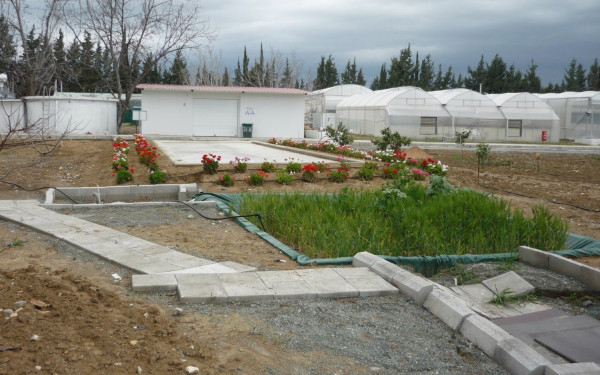 Λάρισα: Στήνονται οι πρώτες «βιοκλίνες» ανάσχεσης της ρύπανσης από γεωργικά φάρμακα