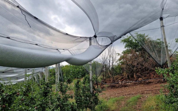 ΕΛΓΑ: Σε διαβούλευση το σχέδιο χαλαζικής προστασίας με εναέρια μέσα