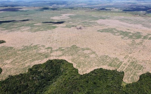 Ανθρώπινη λαίλαπα: Ο πλανήτης έχασε το 2022 μια επιφάνεια παρθένου δάσους ίση με την Ελβετία