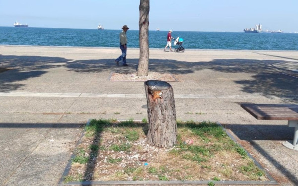 Φίλοι Νέας Παραλίας Θεσσαλονίκης: Ούτε 1 από τις 8 δεσμεύσεις του 2019 δεν υλοποίησε ο Κ. Ζέρβας (φωτ.)