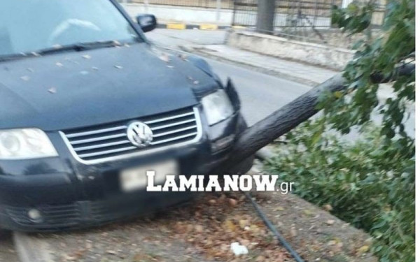 Λαμία: Αποκοιμήθηκε ενώ οδηγούσε, καβάλησε το κράσπεδο και έκοψε δέντρα (φωτ.)