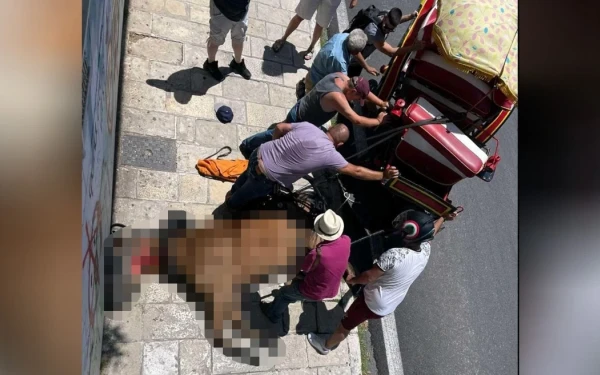 Κέρκυρα: Από  παθολογικά αίτια ο θάνατος του αλόγου που ξεψύχησε στο δρόμο