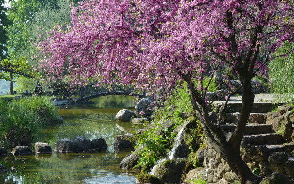 Μια μουσική βραδιά στο Δημοτικό Πάρκο Νάουσας