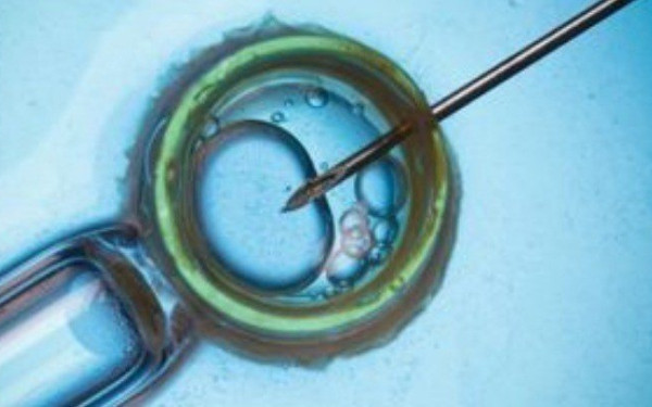 Ο ρυθμός αναπαραγωγής στην Ελλάδα ο χαμηλότερος στην Ευρώπη