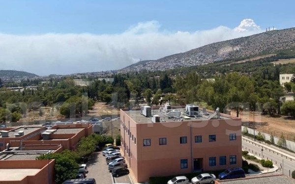 Και δεύτερο πύρινο μέτωπο στο Δαφνί (βίντεο)