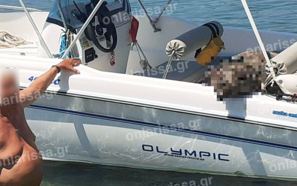 Πήλιο: Ερασιτέχνες ψαράδες αλίευσαν… αγριογούρουνο (φωτ.)
