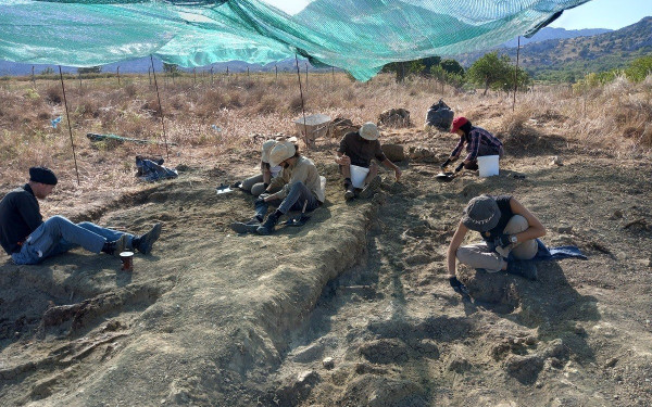 Κρήτη: Νάνοι ελέφαντες, νάνοι ιπποπόταμοι και ελάφια ήταν οι πρώτοι κάτοικοι του νησιού