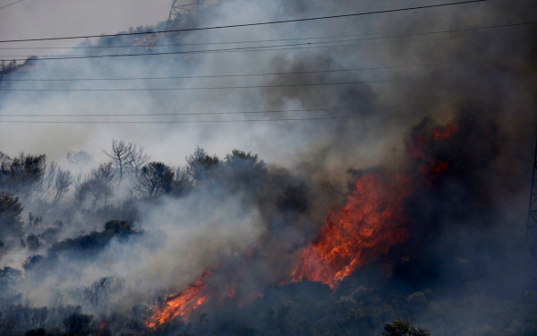 Βοιωτία: Νέο πύρινο μέτωπο προς Πρόδρομο 