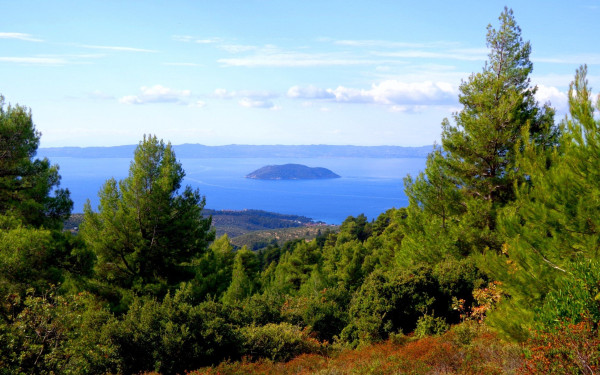 Συνεδρίασε εκτάκτως το συντονιστικό της Πολιτικής Προστασίας στη Χαλκιδική