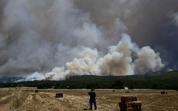 Περισσότερα από 46.000 στρέμματα γης έγιναν στάχτη σε Αττική και Βοιωτία