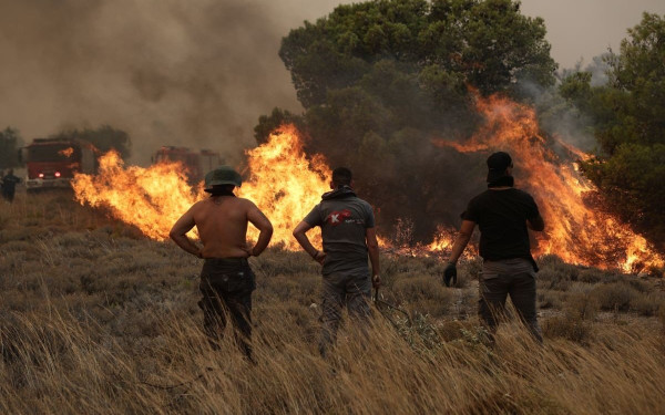 Μεσσηνία: Απίστευτη κατάθεση του 30χρονου που συνελήφθη για εμπρησμούς (βίντεο)