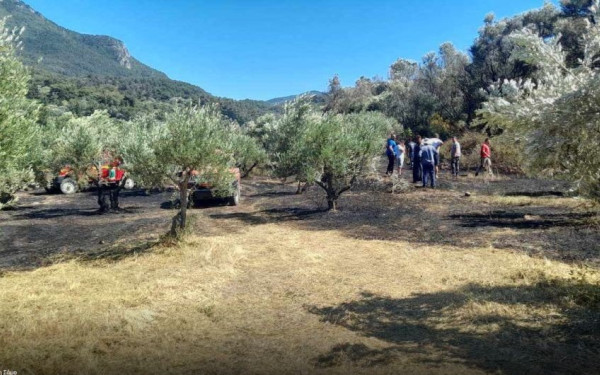 Ξέσπασε φωτιά σε δασική έκταση στη Σάμο (φωτ.)