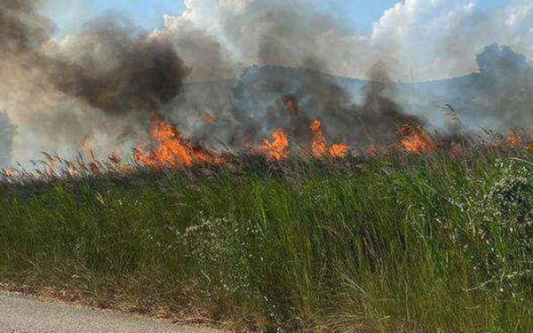 Σε συναγερμό Θεσσαλονίκη, Χαλκιδική και Καβάλα για τον κίνδυνο πυρκαγιάς