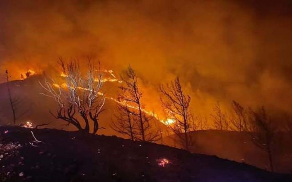 Εκτός ελέγχου καίει η δασική πυρκαγιά στη Ρόδο (βίντεο & φωτ.)