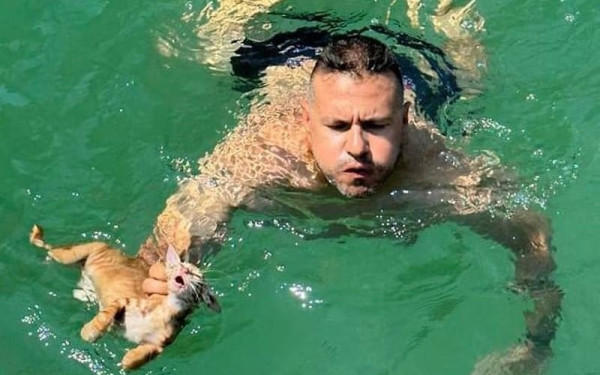 Σαλαμίνα: Πλήρωμα ferry boat βούτηξε στη θάλασσα για να σώσει γατάκι (βίντεο)