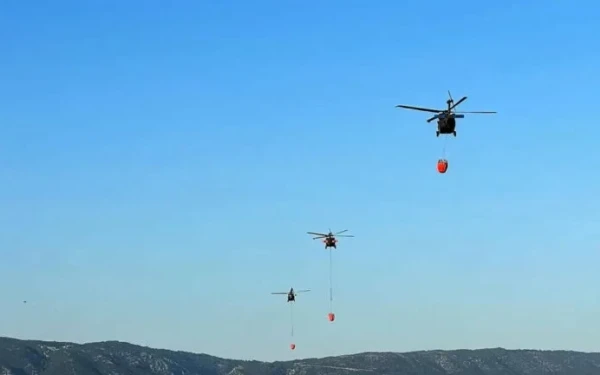 Αμερικανικά ελικόπτερα από το Στεφανοβίκειο στις επιχειρήσεις κατάσβεσης