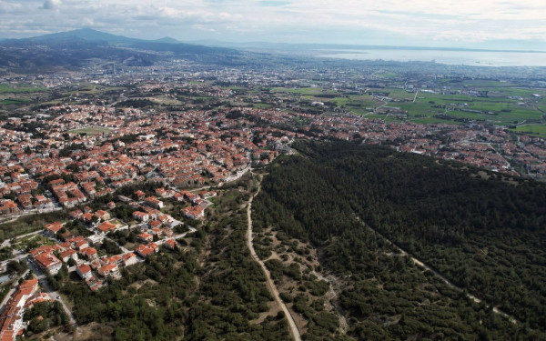 Παρατείνεται η απαγόρευση κυκλοφορίας στο Δασόκτημα Ωραιοκάστρου 
