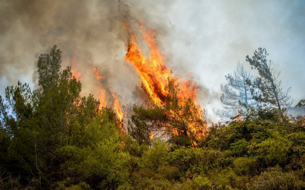 Όταν τα δάση καίγονται χειροτερεύει η ποιότητα του αέρα που αναπνέουμε