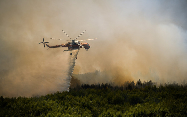  44 δασικές πυρκαγιές εκδηλώθηκαν το τελευταίο εικοσιτετράωρο 