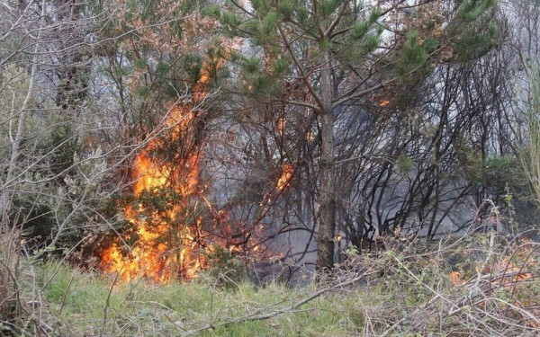 Κινητοποίηση για φωτιά έξω από το χωριό Λοφίσκος στο Λαγκαδά
