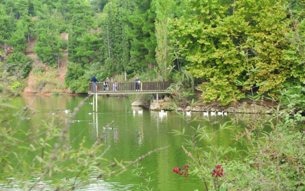 Απαγόρευση κυκλοφορίας στο Φράγμα Θέρμης και τις δασικές εκτάσεις του δήμου Θέρμης