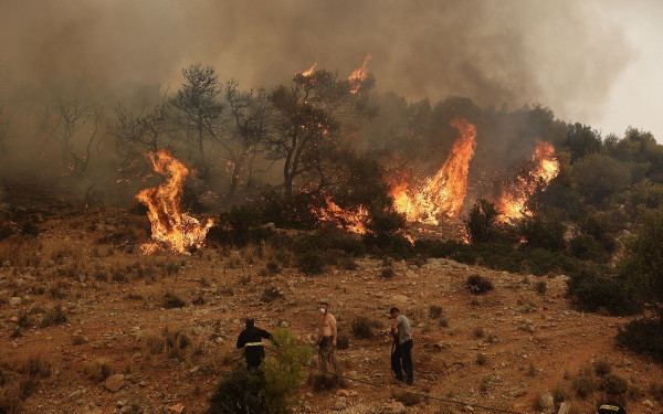 Φωτιές στον Έβρο: Έκκληση του αντιπεριφερειάρχη στους αγρότες να συνδράμουν στο έργο της κατάσβεσης