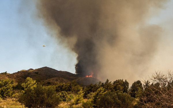Φωτιά σε δάσος της Πρέβεζας - Στην μάχη και εναέρια μέσα