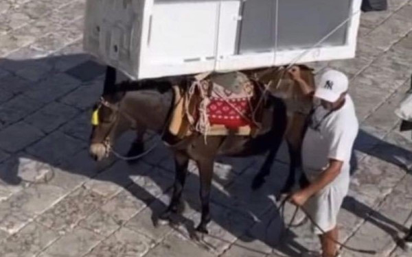 Ο δήμαρχος Ύδρας για το γαϊδουράκι που κουβαλάει ψυγείο: «Δεν είναι κακοποίηση, αυτή είναι η καθημερινότητα εδώ και 200 χρόνια» (βίντεο)
