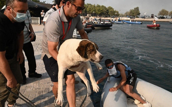 Βόλος: Αναβλήθηκε το παγκόσμιο πρωτάθλημα ιστιοπλοΐας - Αθλητές απ' όλο τον κόσμο σώζουν ανθρώπους με τα σκάφη τους