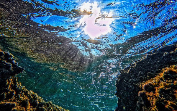 Το 2024 θα είναι «σχεδόν σίγουρα» η πιο ζεστή χρονιά που έχει καταγραφεί ποτέ