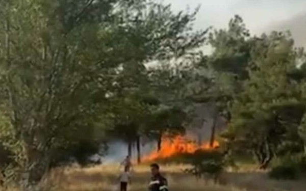 Φωτιά στην περιοχή Μελία στην Αλεξανδρούπολη (φωτ. & βίντεο)