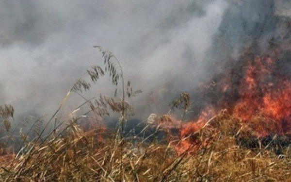 Φωτιά στην Μεσσηνία: Επιχειρούν έξι αεροπλάνα