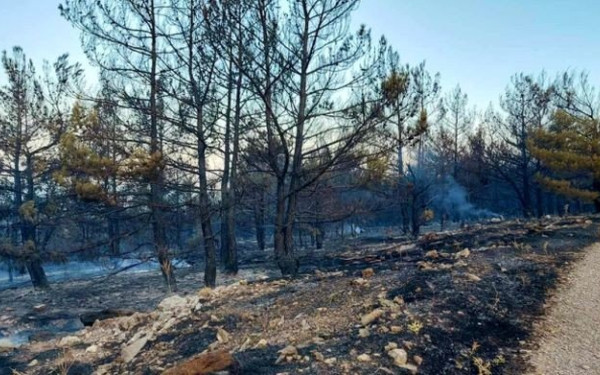 Χωρίς ενεργό μέτωπο η πυρκαγιά στην Αιανή Κοζάνης