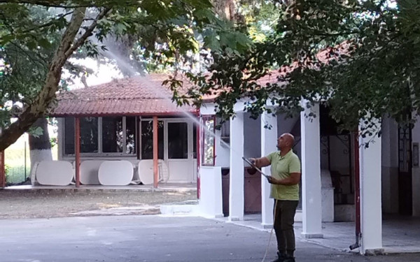Δήμος Χαλκηδόνας: Πότε θα γίνουν οι ψεκασμοί για κουνούπια στον Άγιο Αθανάσιο