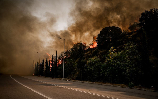 Λαμία: Γύρω από την πόλη η φωτιά - Ολονύχτια μάχη των επίγειων δυνάμεων στην ανατολική πλευρά (βίντεο & φωτ.)